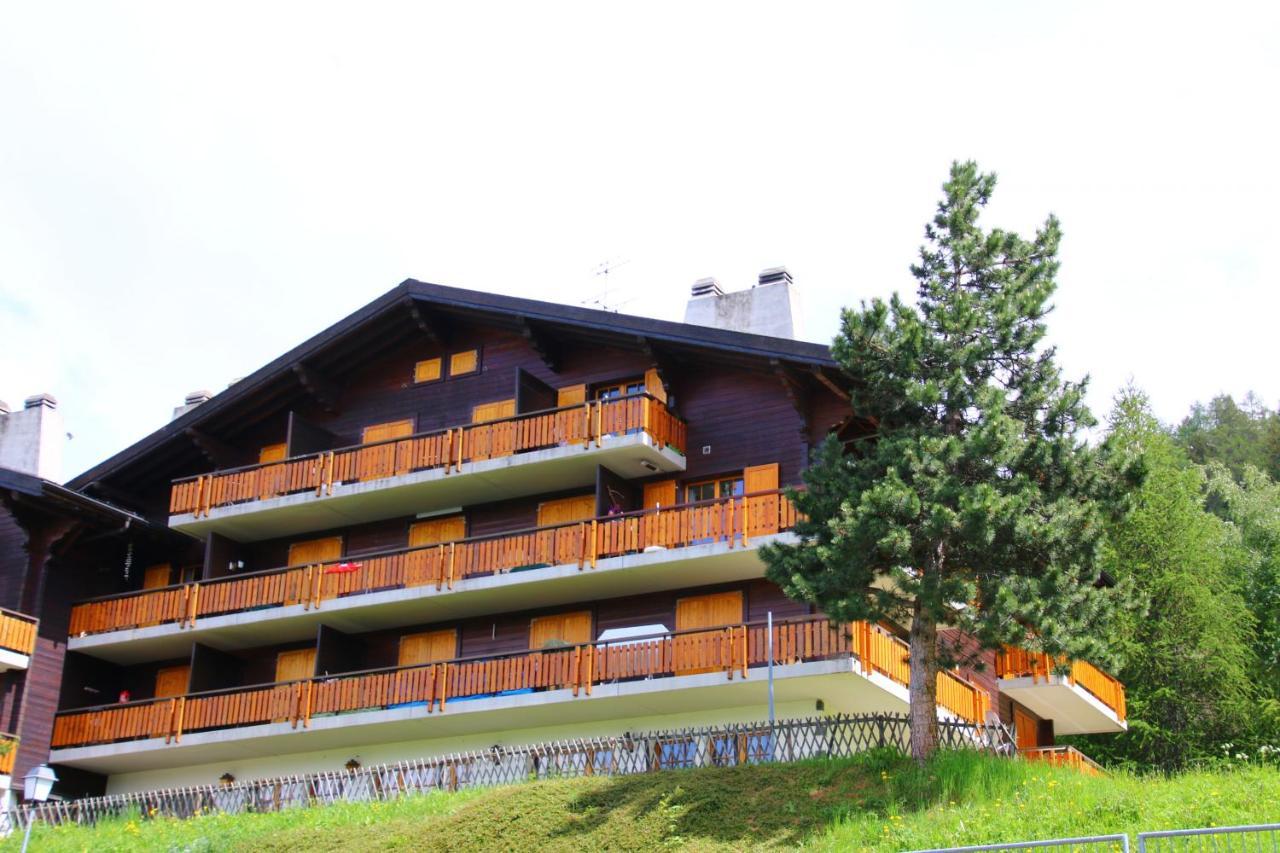 Mayens De L'Ours Mountain & Center Apartments By Alpvision Residences Agettes Buitenkant foto