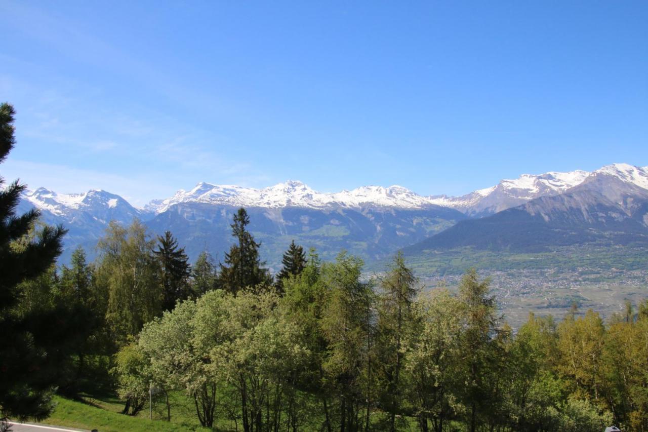 Mayens De L'Ours Mountain & Center Apartments By Alpvision Residences Agettes Buitenkant foto